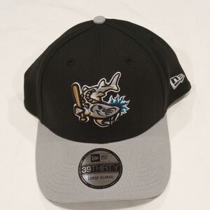 NWT Grand Rapids Dam Breakers 39Thirty Black Baseball Hat